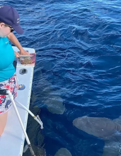 An image of a guest on a shark viewing charter.