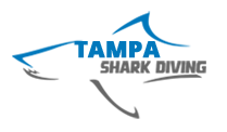 Tampa Shark Diving - Daily Shark Diving on Florida's West Coast